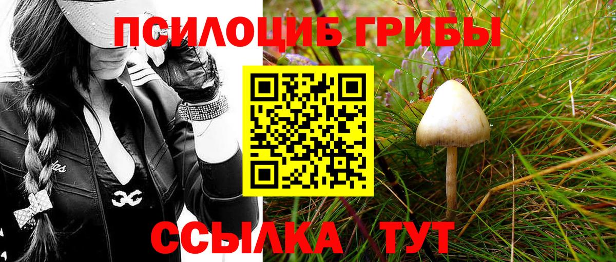Псилоцибиновые грибы ЛСД Тулун