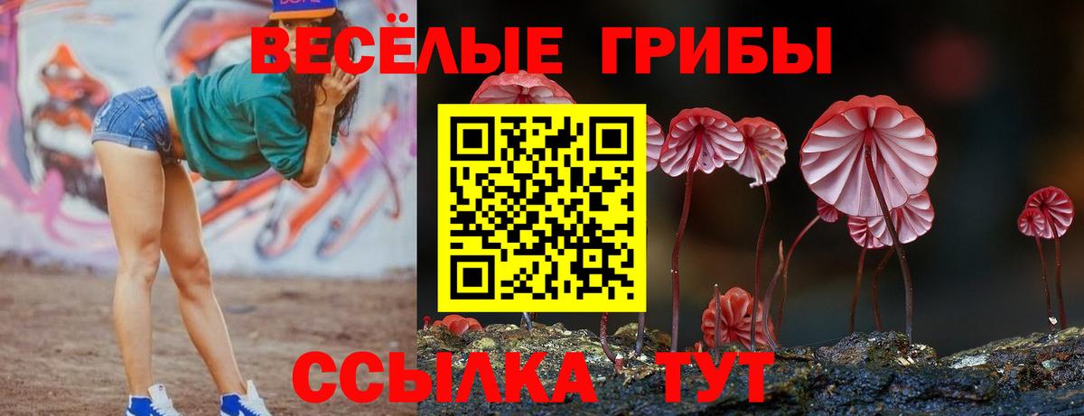 Галлюциногенные грибы мицелий  Вход с VPN  даркнет сайт  Тулун  Галлюциногенные грибы GOLDEN TEACHER 